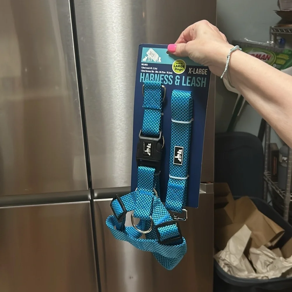 Dog Harness & Leash Set